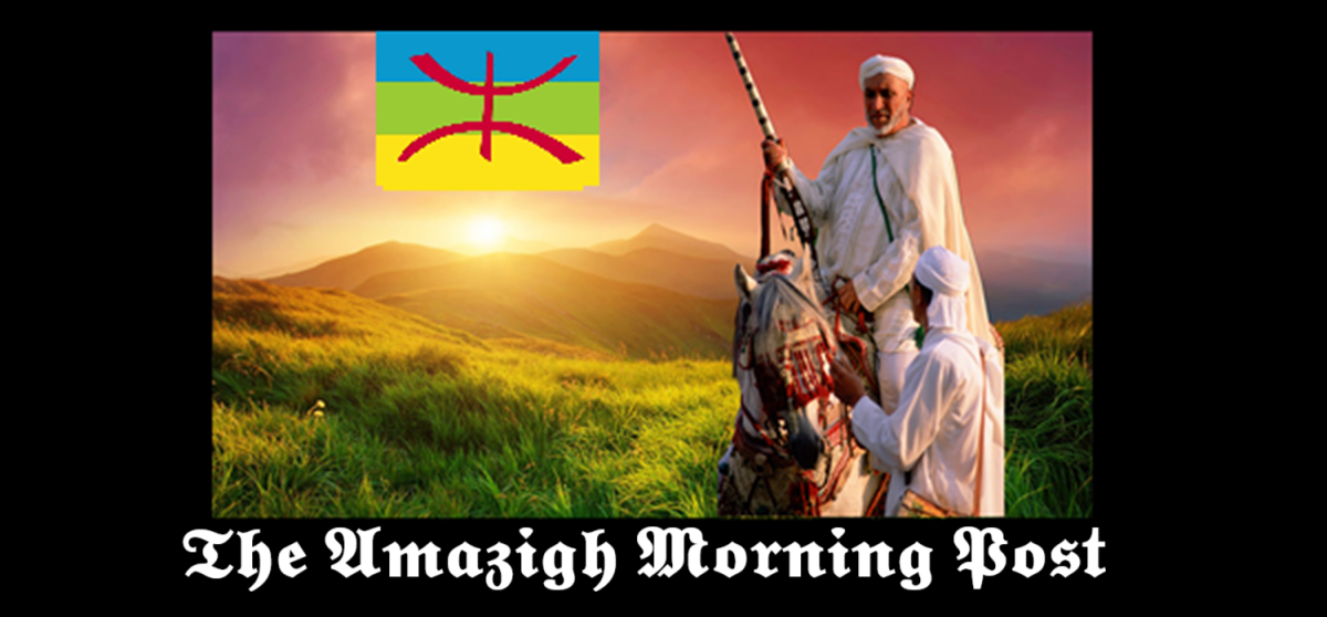amazighmp.com